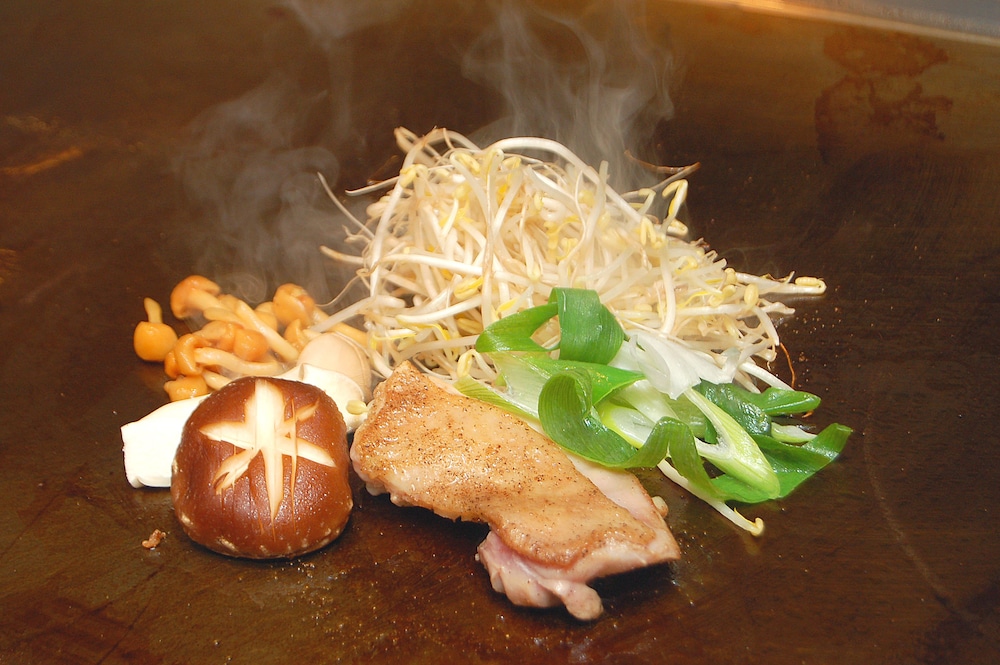 Okayama View Hotel 37/65