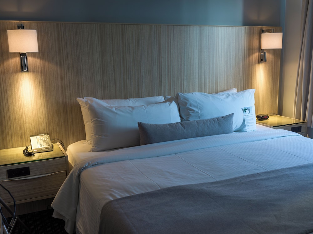 استوديو بريميوم بسرير كينج بإطلالة على المدينة، Century Plaza Hotel & Spa 6/10