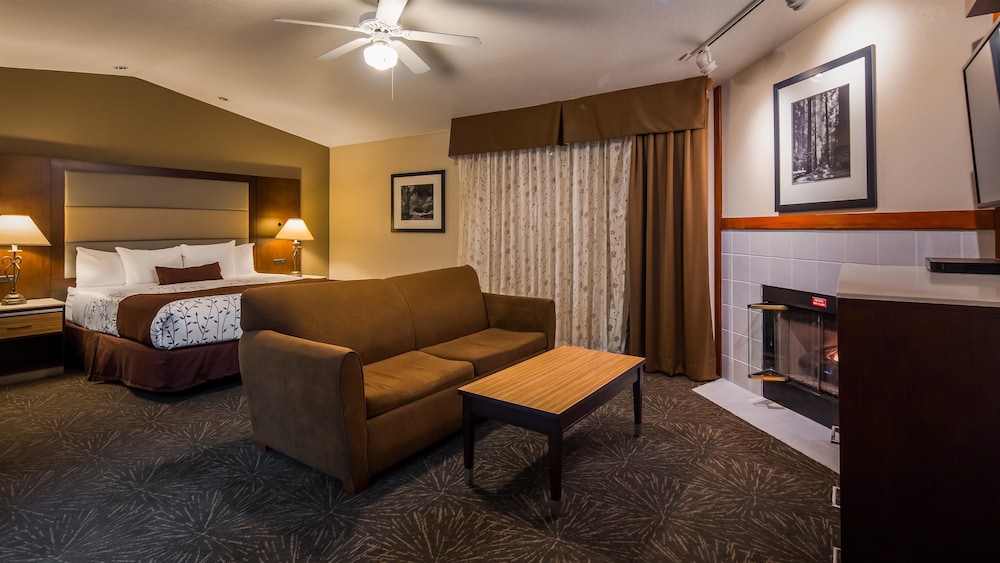 Best Western Plus Forest Park Inn 38/53