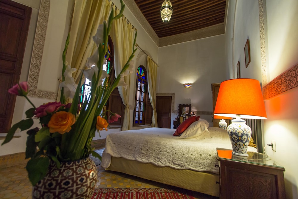 Riad Norma 12/50
