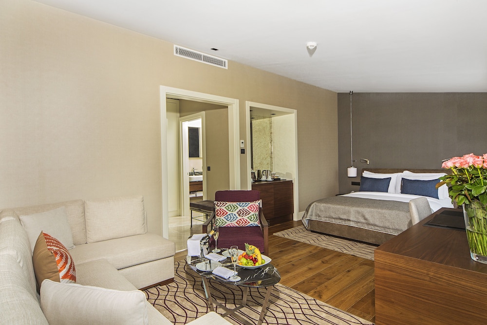 Arts Hotel Istanbul 28/73