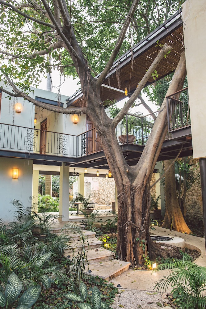 TreeHouse Boutique Hotel 43/50