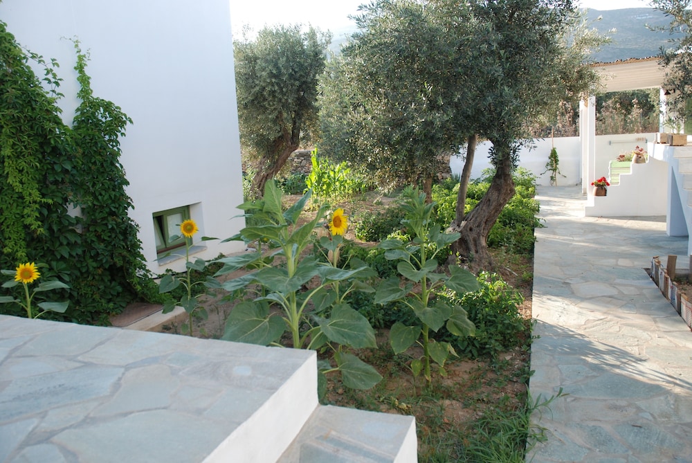 Edem Hotel Apartments 70/72