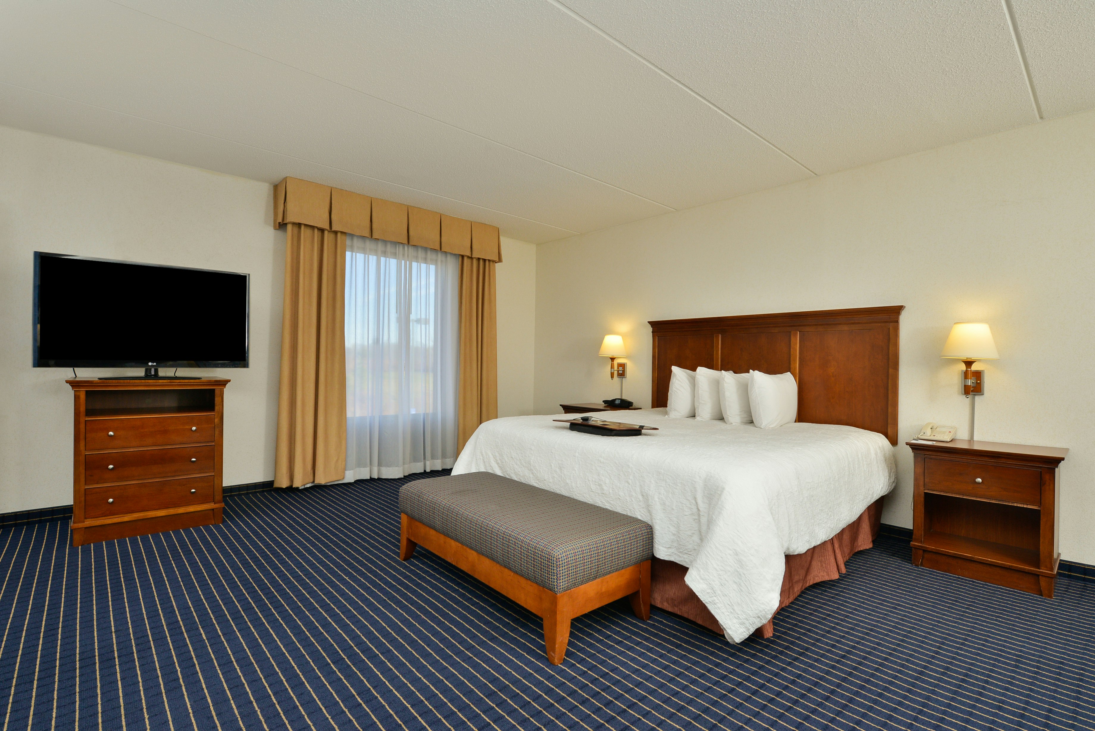 Hampton Inn Farmville 29/79