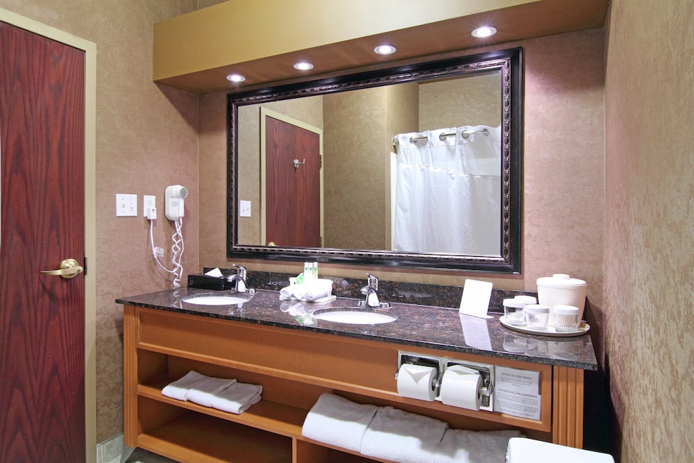 Holiday Inn Express Hotel Suites Calgary South Macleod Trail S 30/73