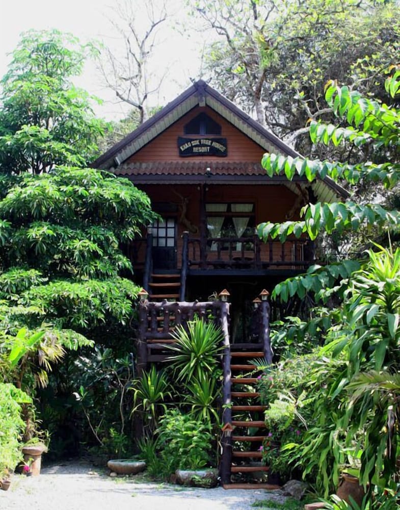 Khao Sok Tree House 4/50
