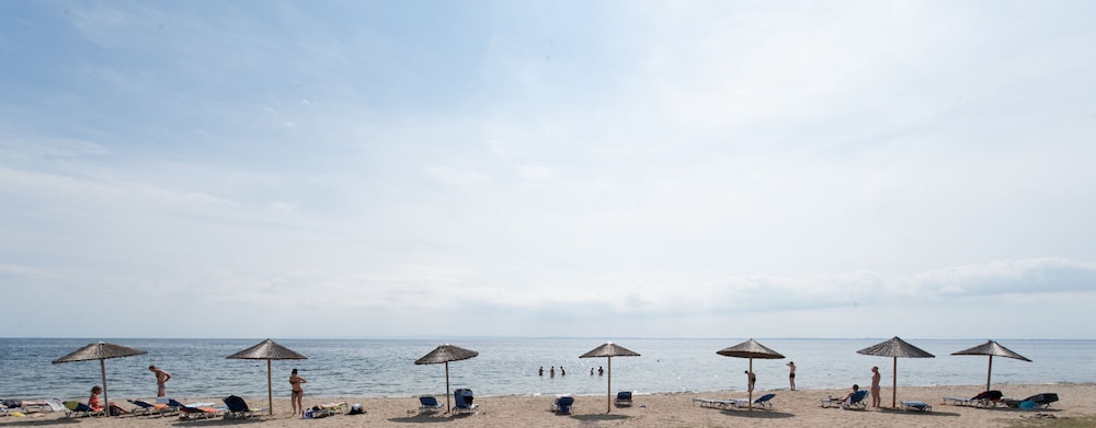 Alkinoos Beach Hotel 28/40