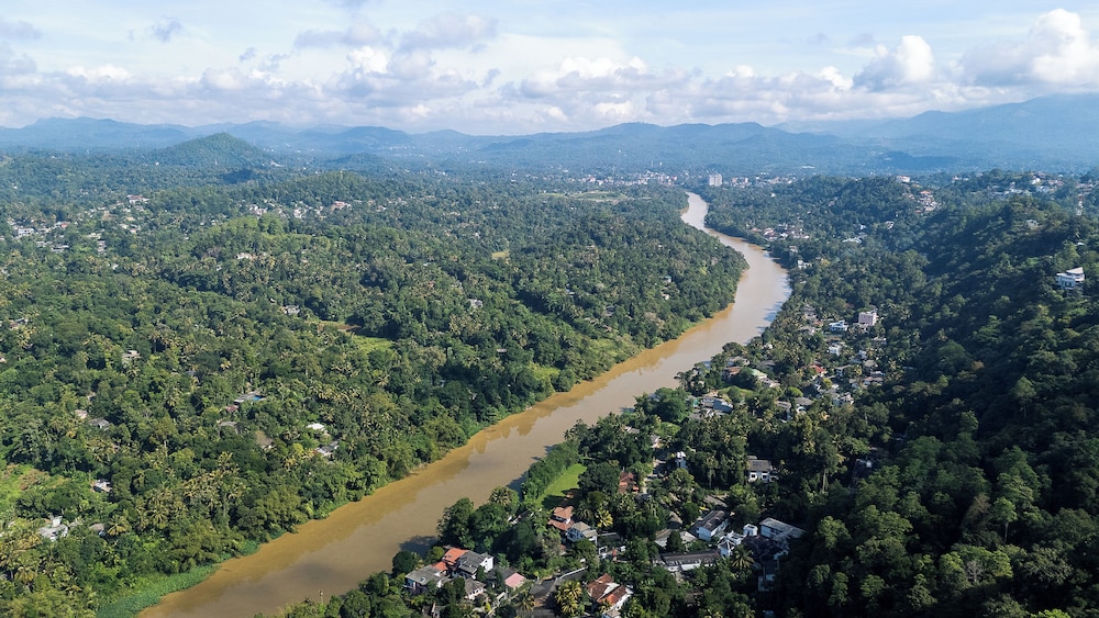 The Elephant Stables 44/50