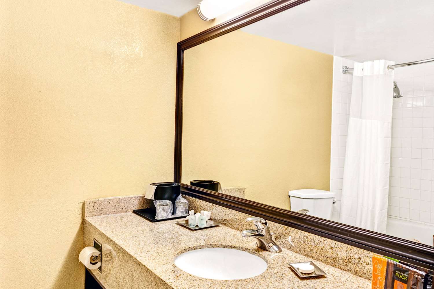 Wyndham Garden Romulus Detroit Metro Airport 38/40