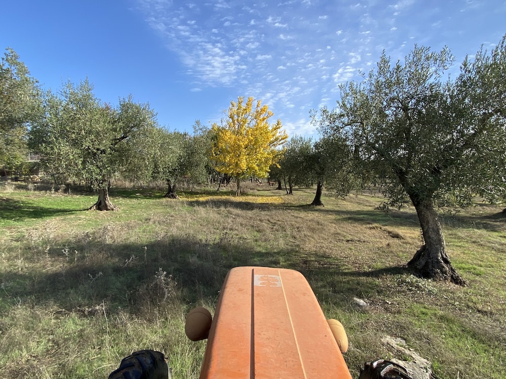 Agriturismo Podere Conte Ràcani 18/40