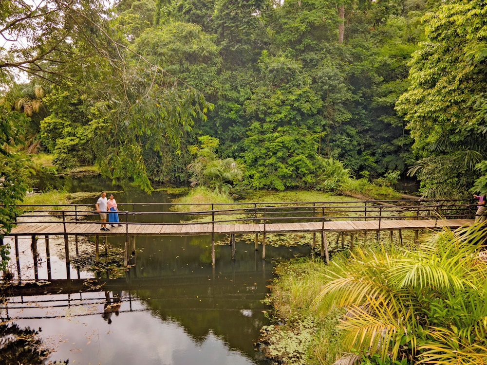Maquenque Eco-Lodge 45/49