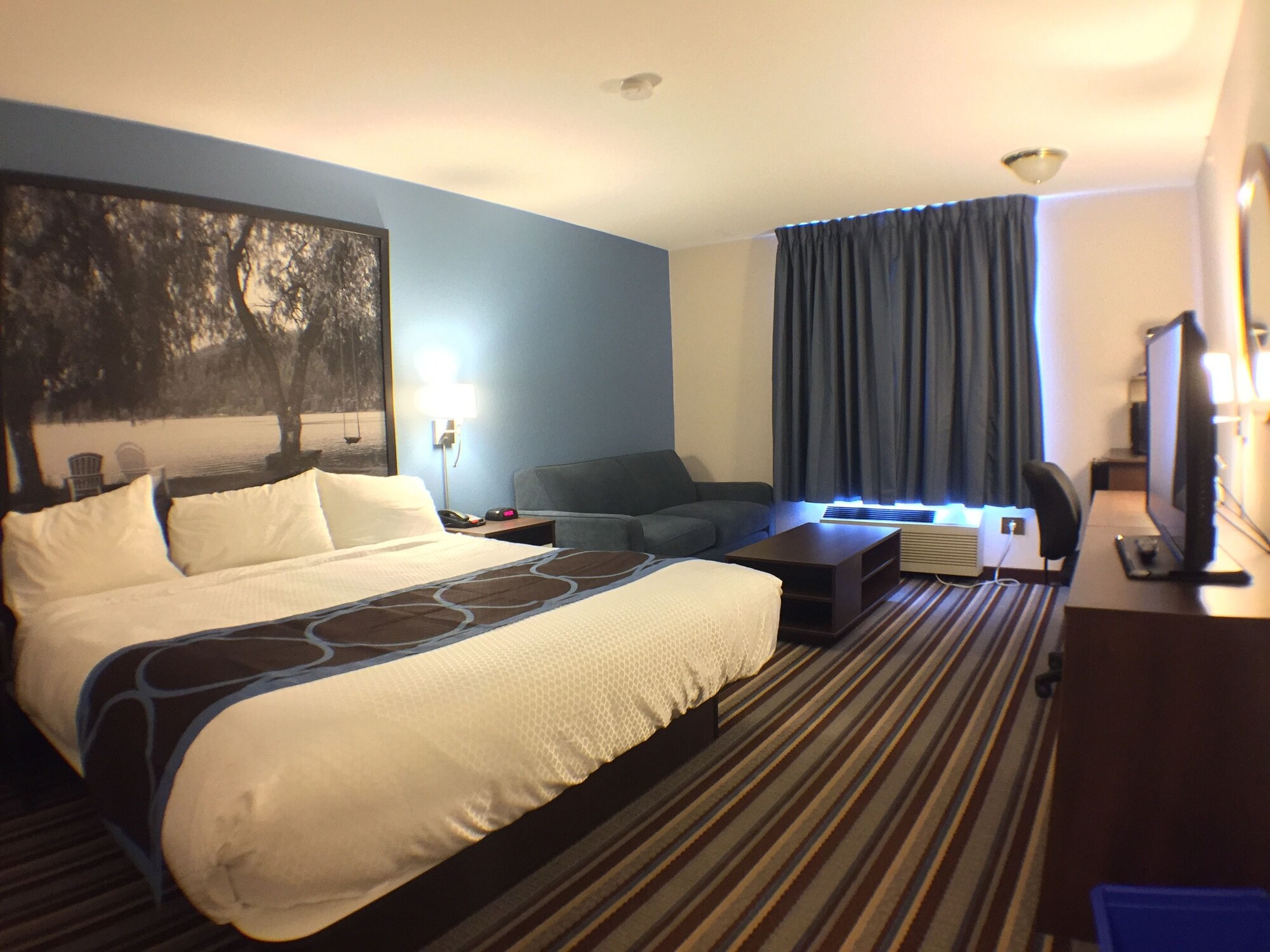 Room, King Bed