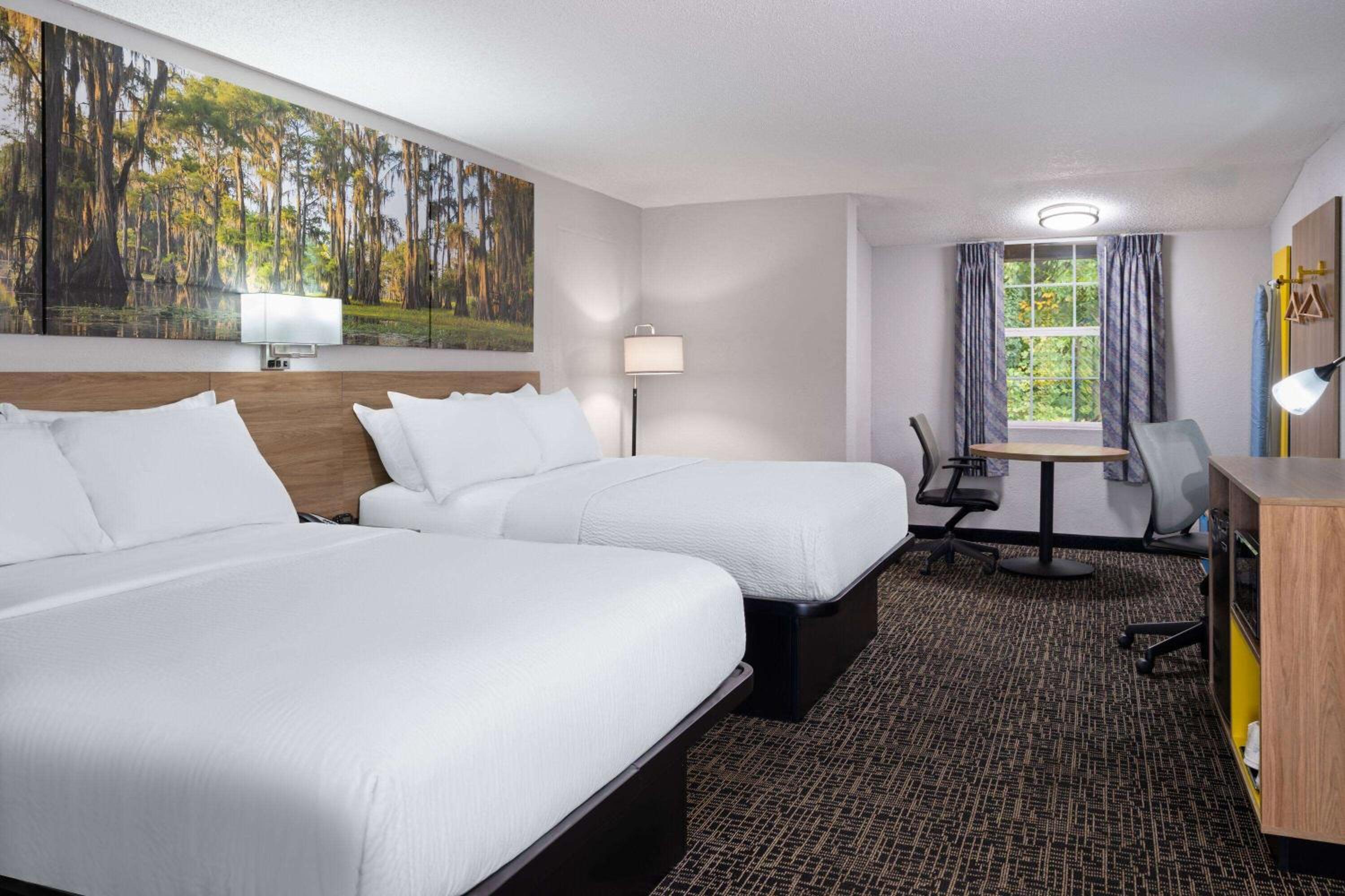 Efficiency, Studio, Suite, Queen Bed