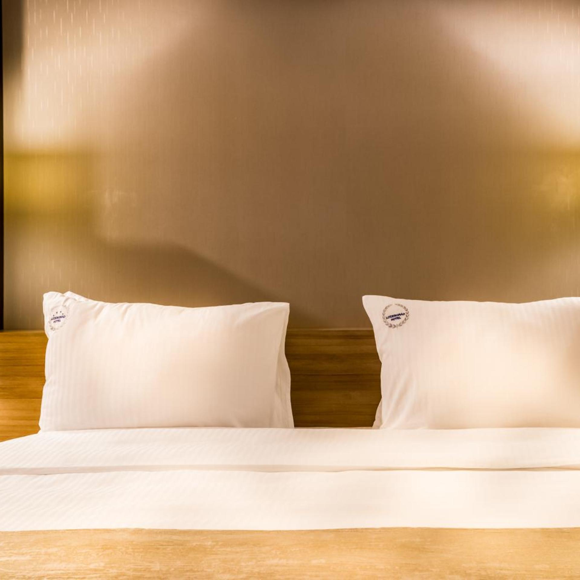 Lozengrad Hotel 15/48