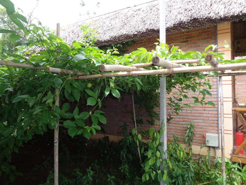 Ninila Fruit Farm Bungalow 22/38