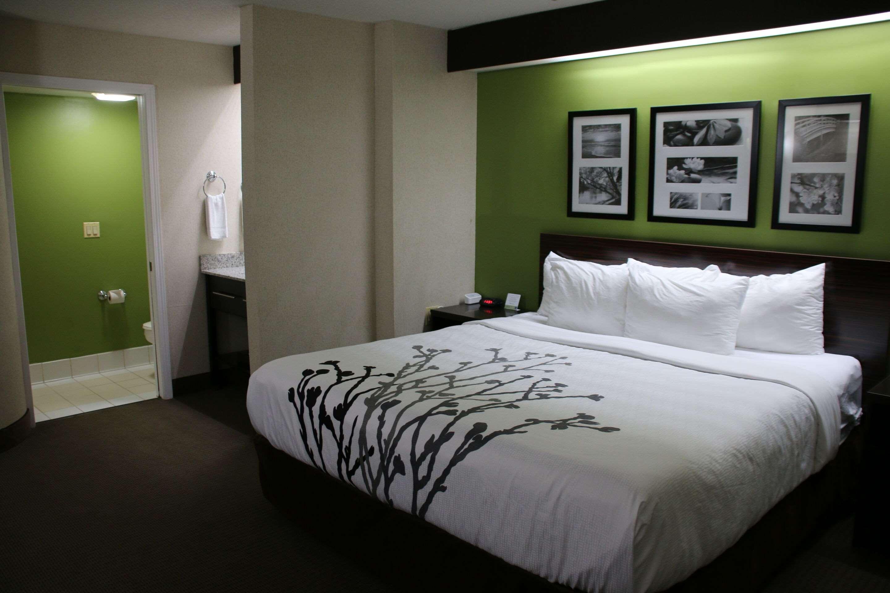 Room, King Bed