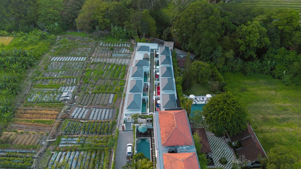 Dikubu Bali Villa and Suite 65/71