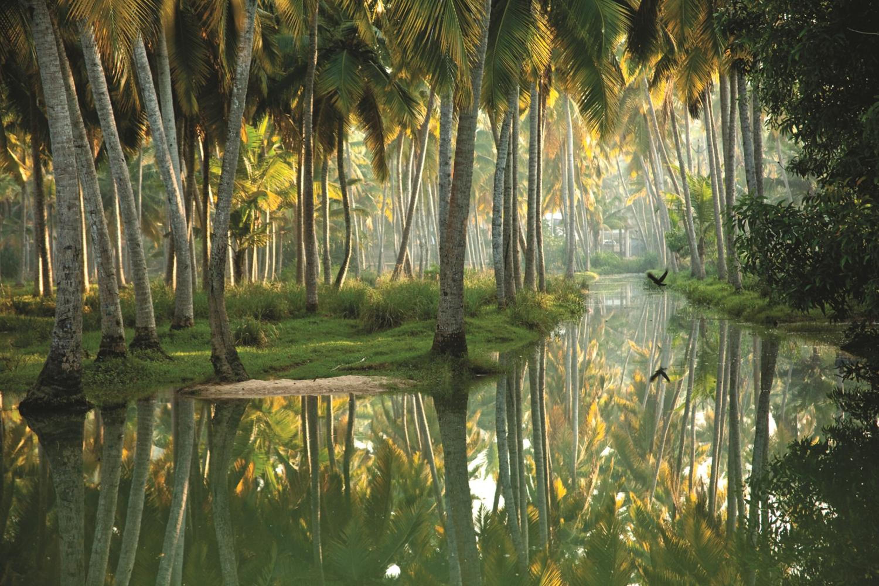 ISOLA DI COCCO 50/60