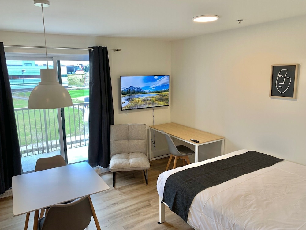 Studio, Queen Bed