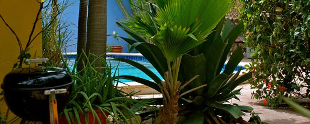 Caribbean Flower Apartments 35/38