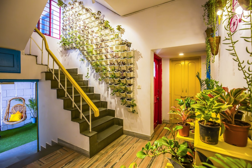 goSTOPS Jaipur - Hostel 4/50