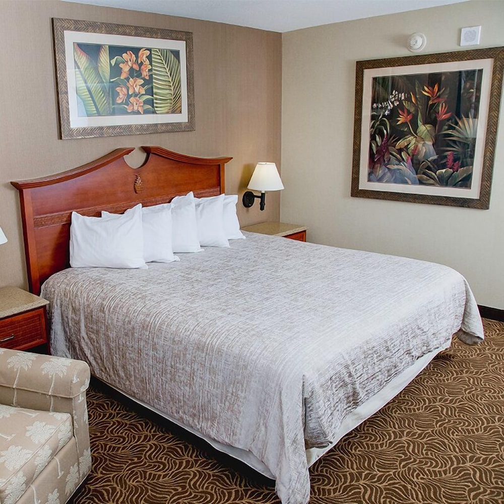 Room, King Bed, East Tower