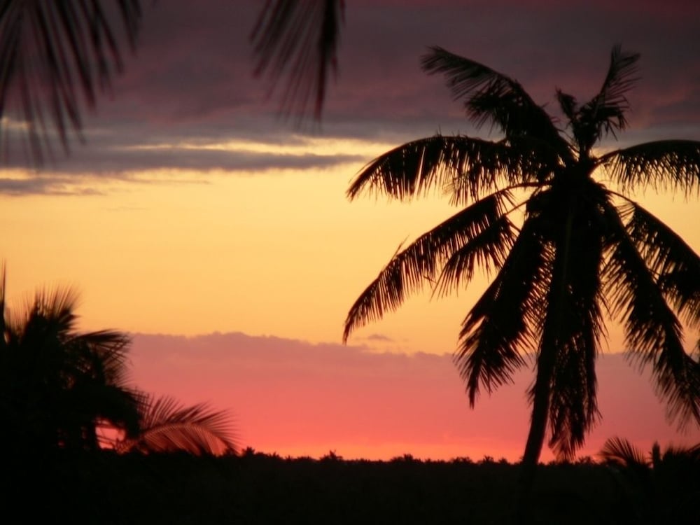 Blue Moon Beach Holiday Resort 12/32