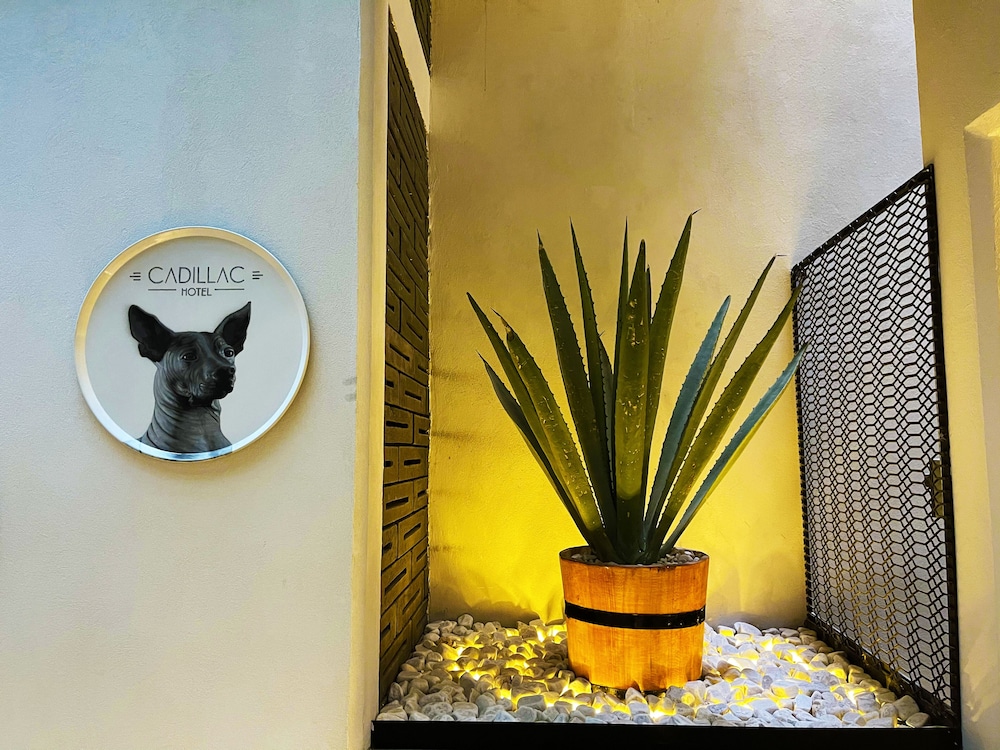 Cadillac Hotel Boutique 8/50