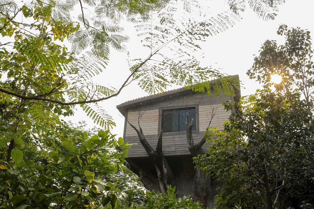 Tathastu Pench 6/58