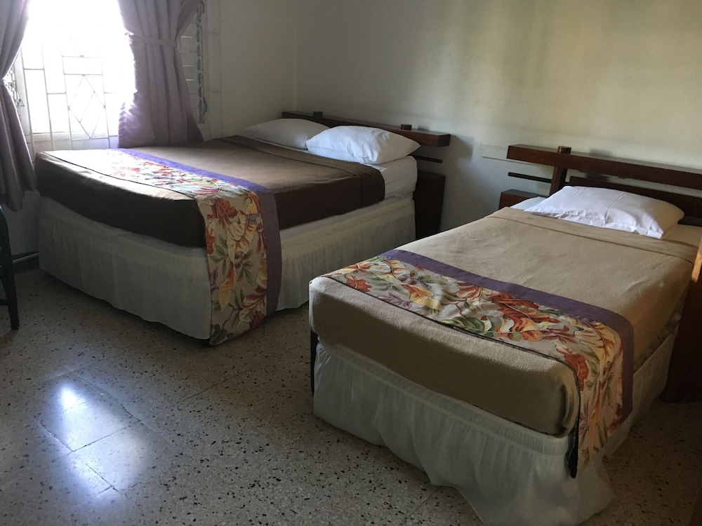Palm View Guesthouse and Conference Centre 8/42