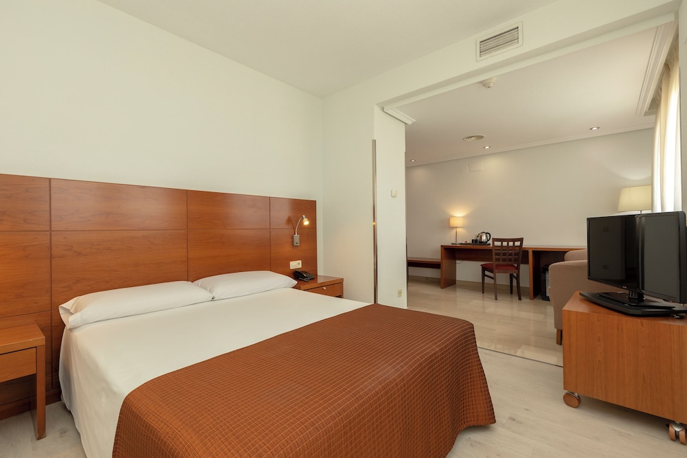 غرفة قياسية بسرير مزدوج، Hotel Porcel Torre Garden 9/10