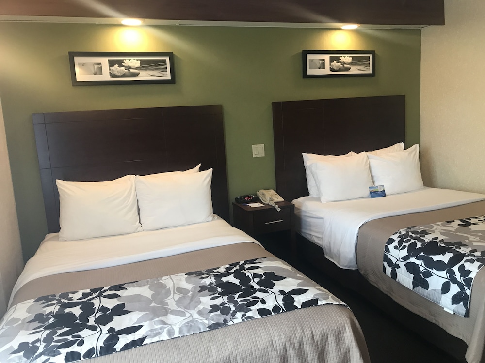 Baymont By Wyndham Flat Rock 8/49