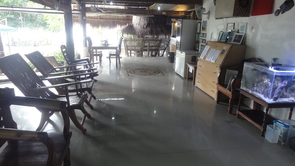 Sea Turtle House 32/50