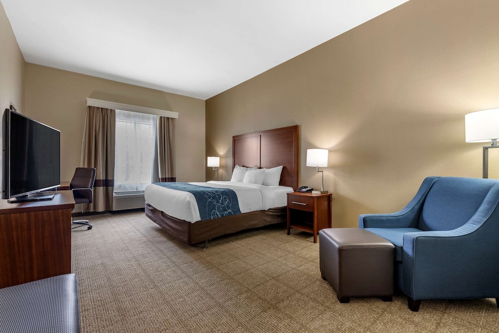 Comfort Inn & Suites Paris 16/33