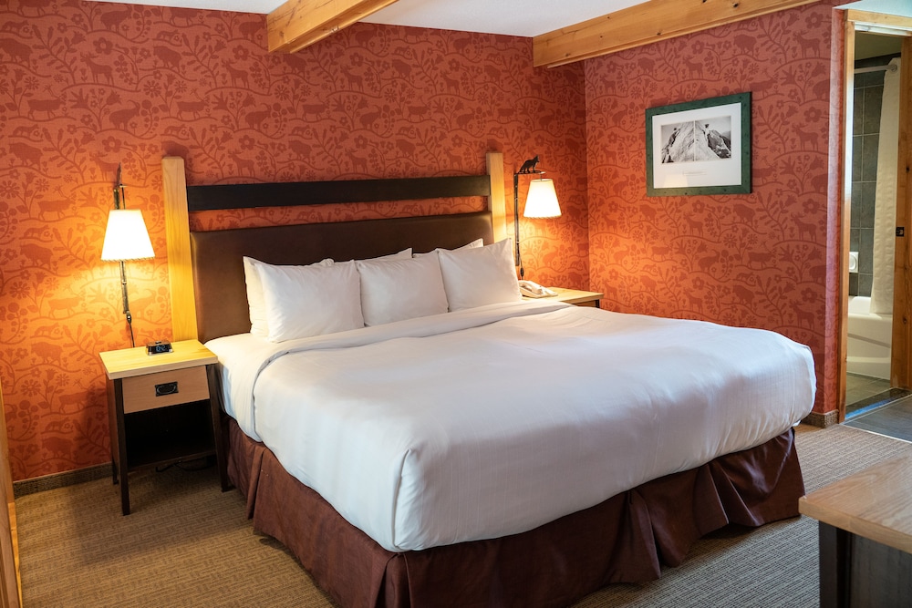 LOFT, PREMIUM, SUITE