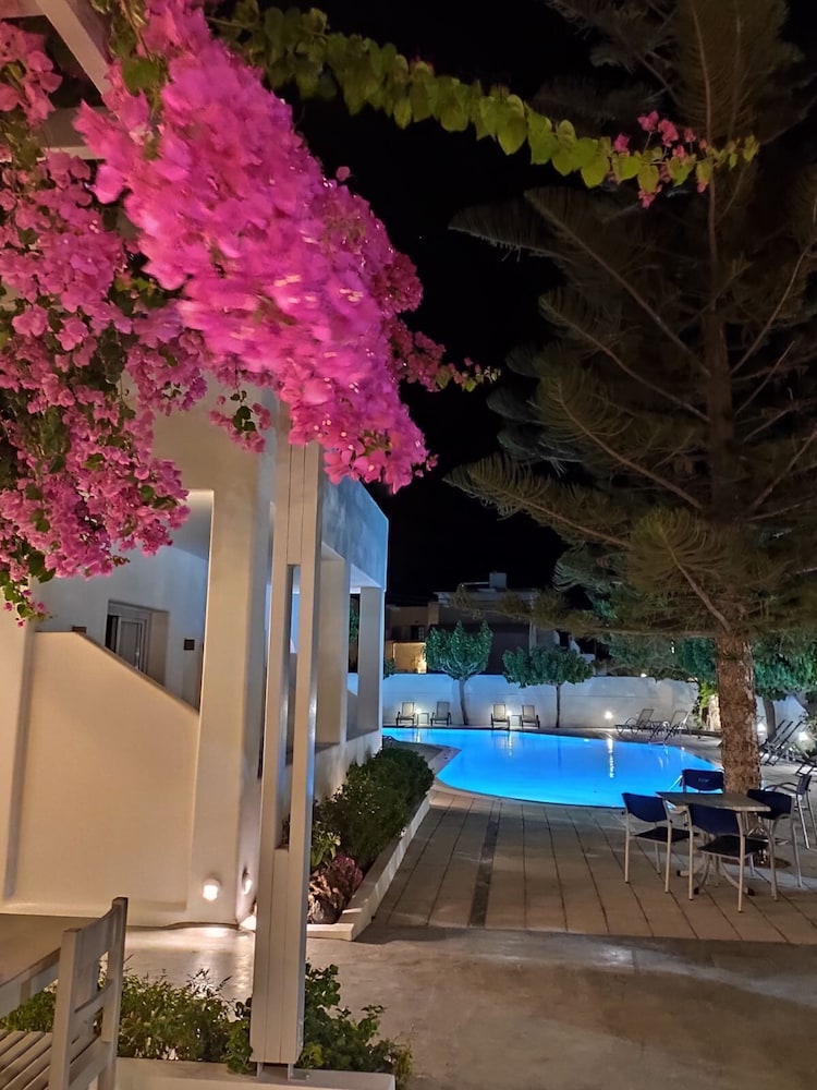 Hippocampus Hotel 60/72