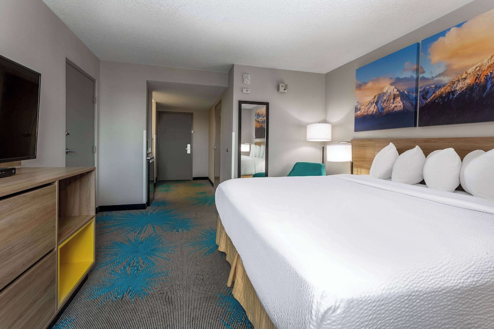 Renovated, Standard, King Bed, Accessible
