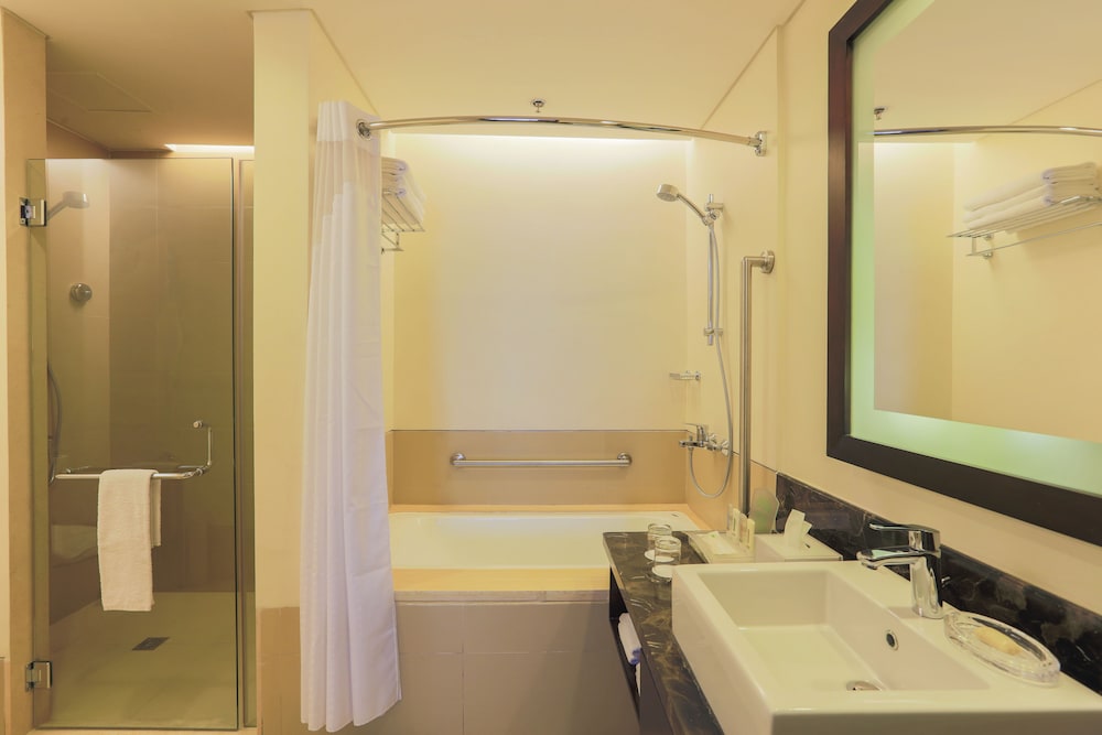 Holiday Inn & Suites Makati 14/75