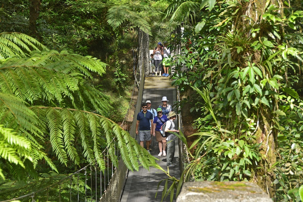 Arenal Observatory Lodge Spa 10/77