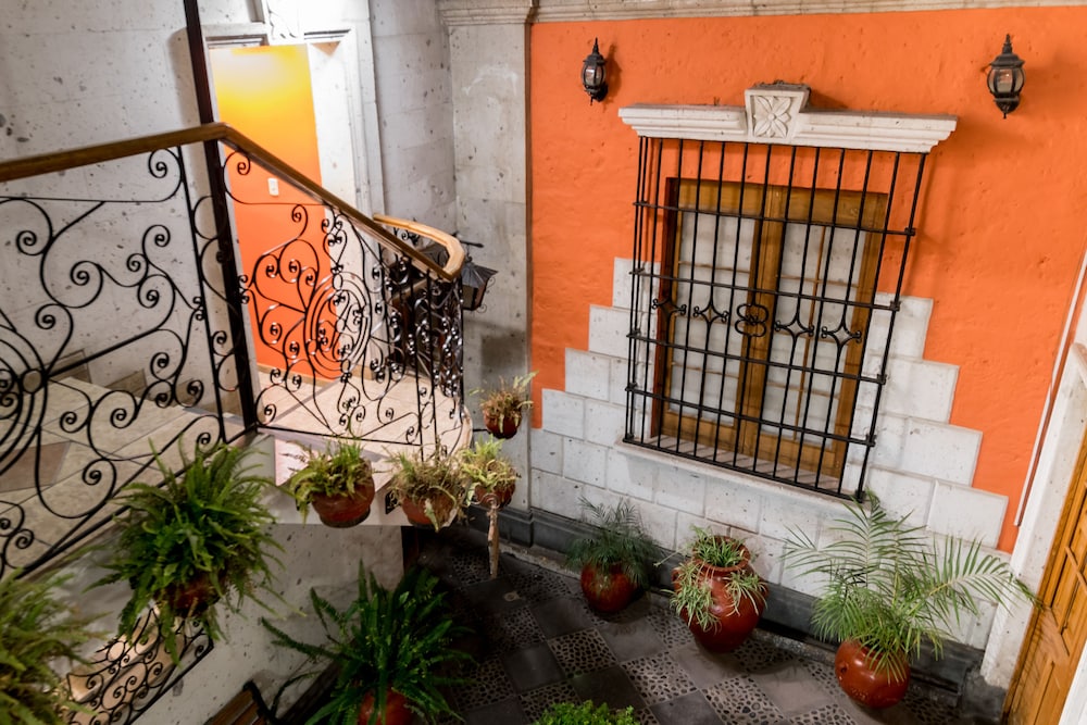 Hostal Villa Sillar 1/50