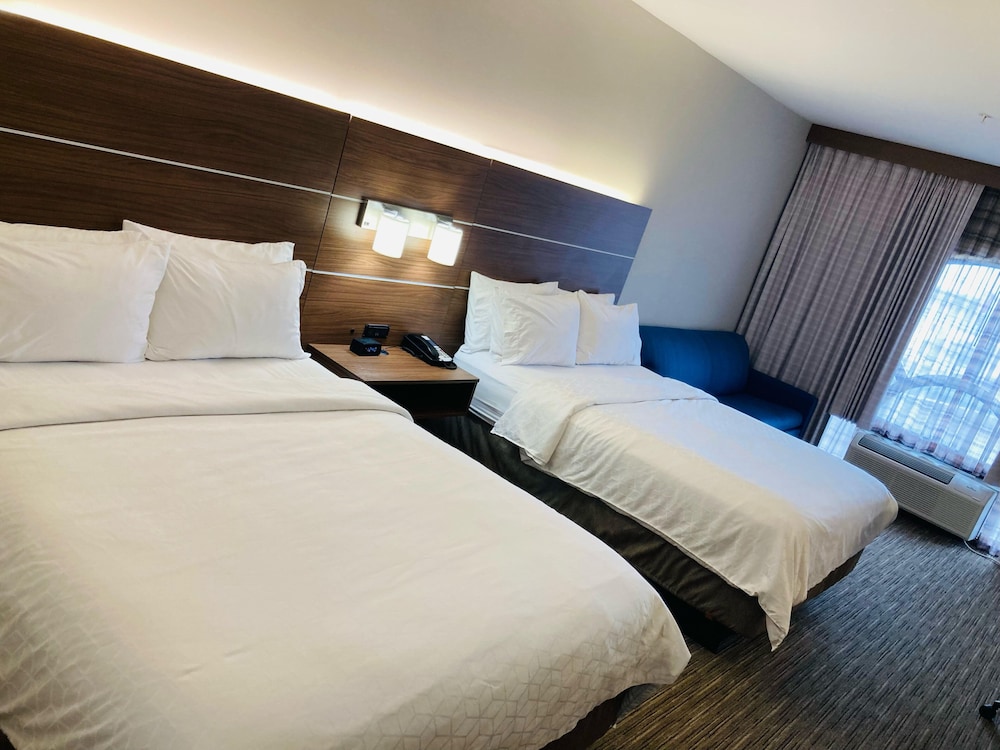 Holiday Inn Express Hotel And Suites Abilene Mall South 28/75