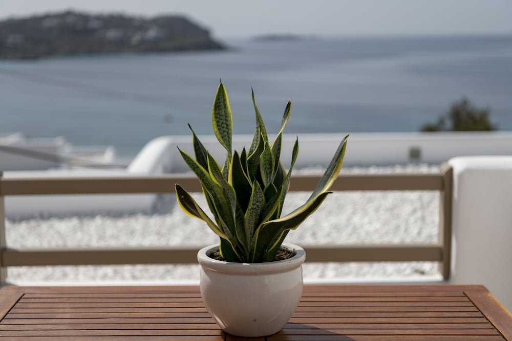 Lithos By Spyros Flora 31/66