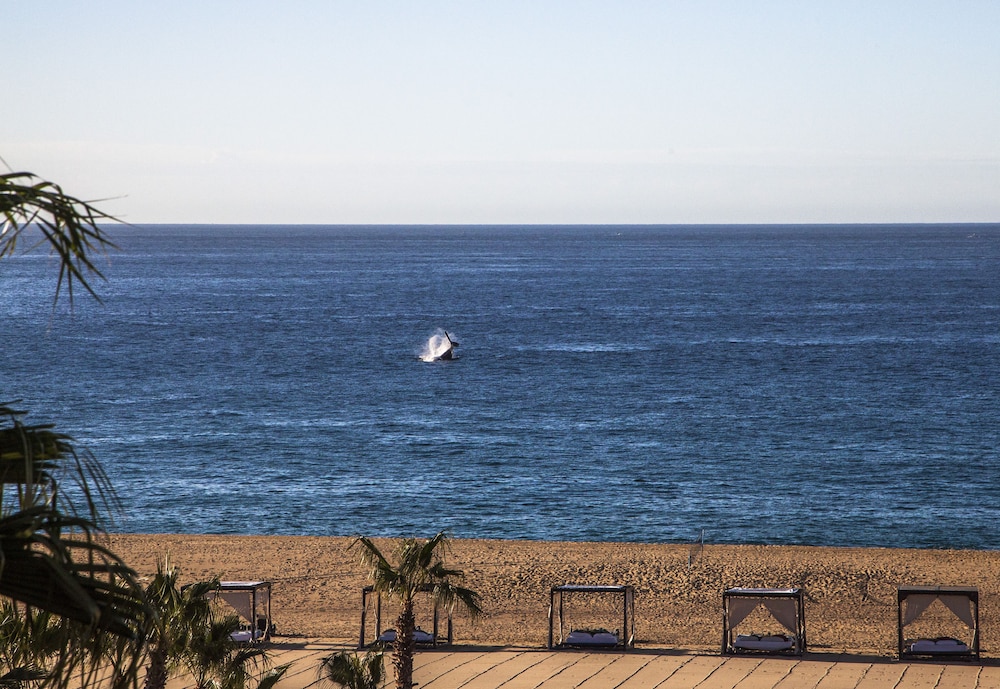 The Towers at Pueblo Bonito Pacifica- Adults Only 36/50
