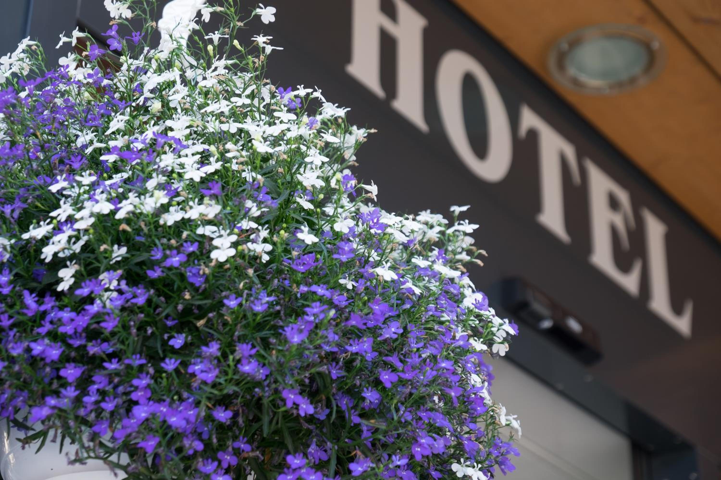 HOTEL HIRSCHEN 6/55