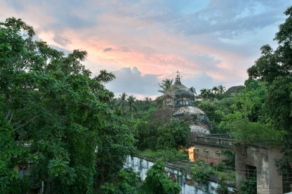 The Rajbari Bawali 40/49