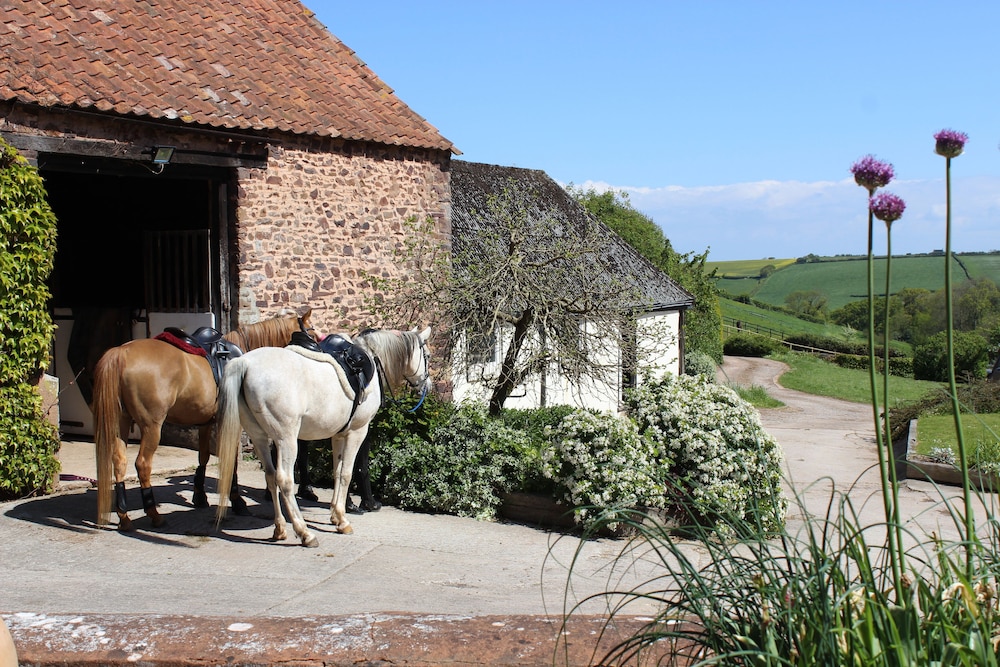 Pardlestone Farm Groom S Cottage 10/50