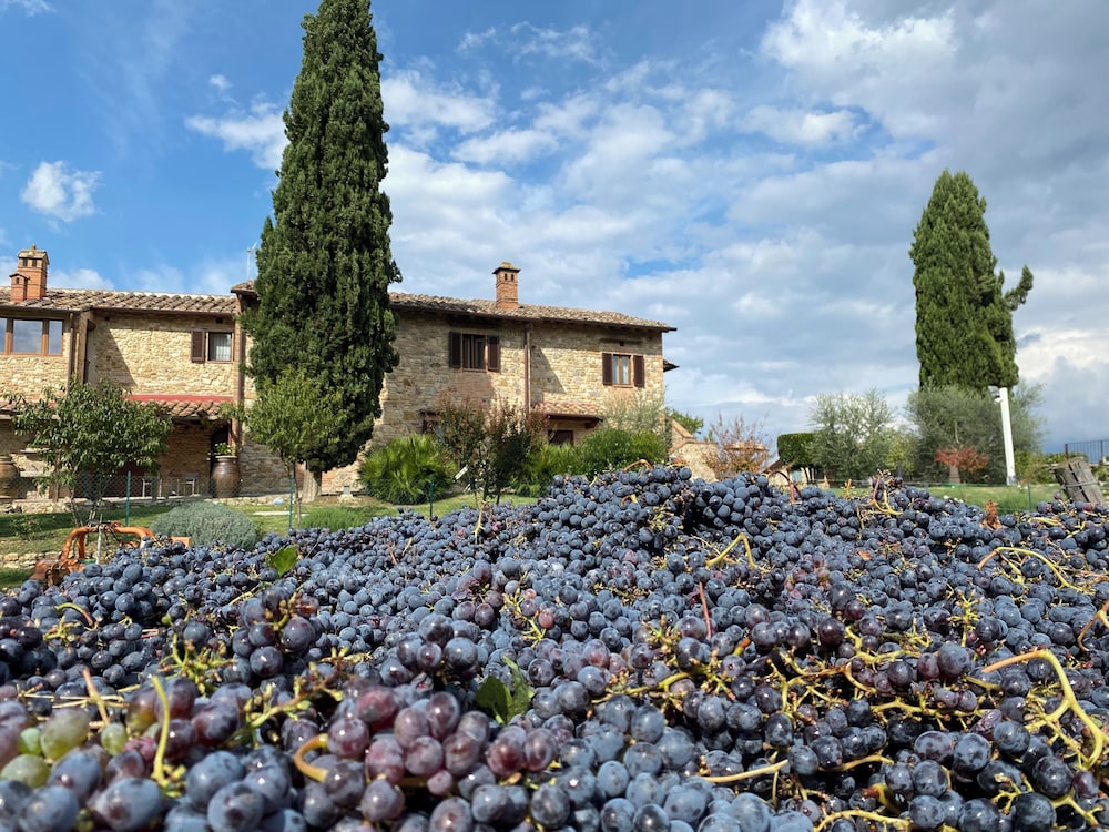 Tenuta Sovestro 43/50
