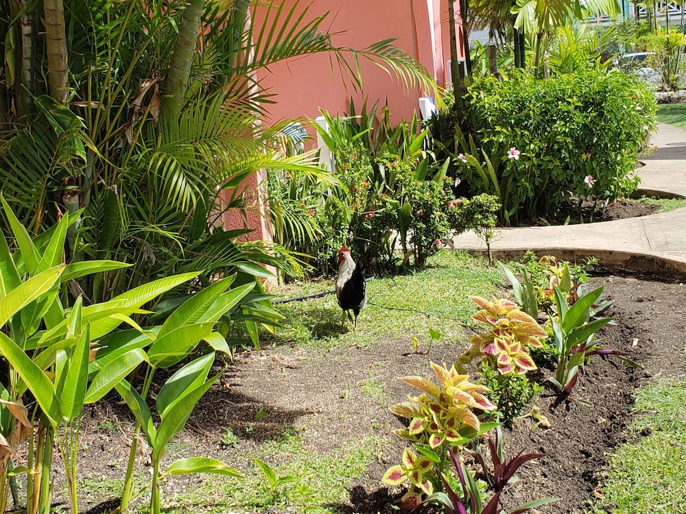 Dover Beach Hotel 58/61