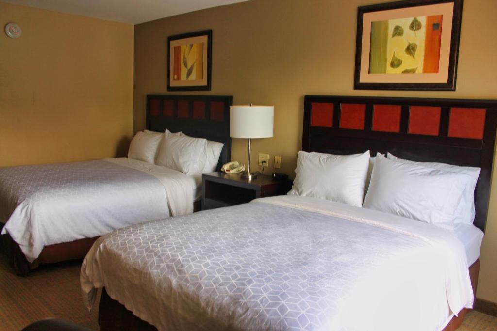 غرفة بسريرين مزدوجين لذوي الإعاقة، Holiday Inn Express Palestine 2/4