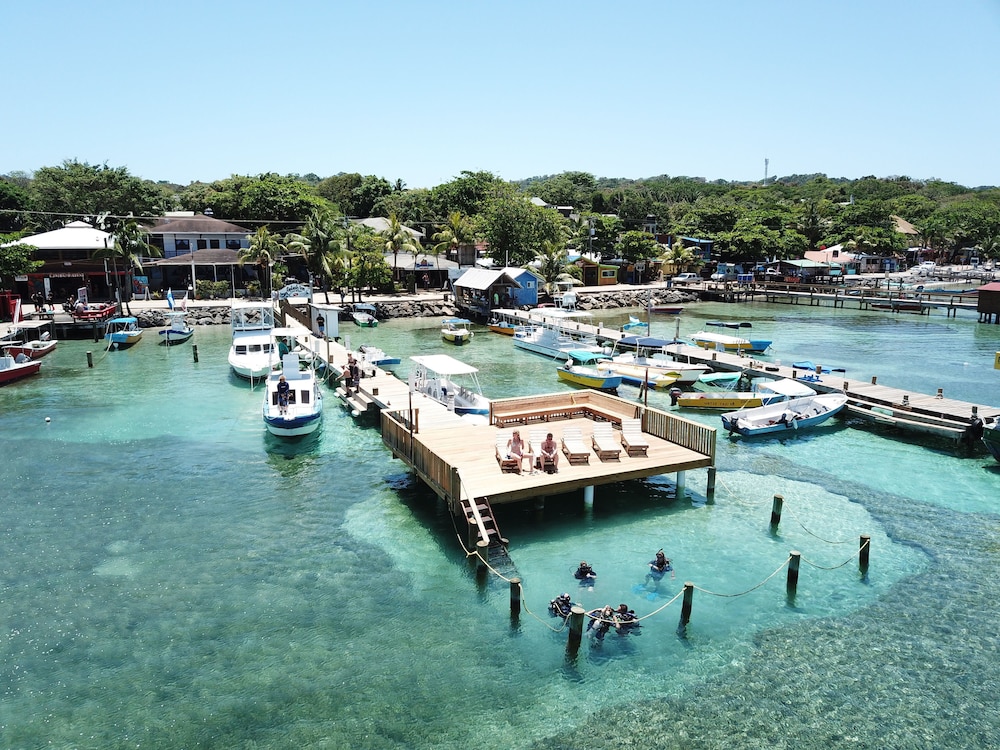 Splash Inn Dive Resort 32/38